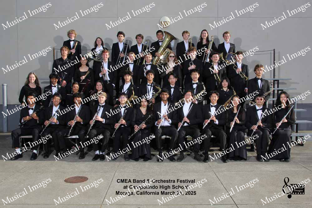 Musical Images